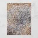 Search for weeding postcards Rustic