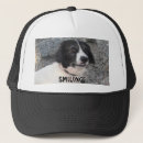 Search for border collies accessories Pets