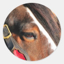 Search for clydesdale horse stickers Clydesdales