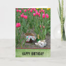 Search for dutch birthday cards Holland