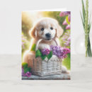 Search for puppy birthday Golden retriever