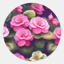 Search for begonia gift wrap Pink