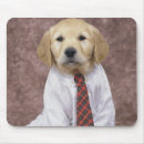 Search for sit ups mousepads Front view