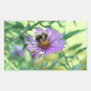 Search for purple daisy stickers Nature