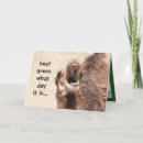 Search for camel christmas cards Funny