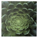Search for natural world tiles Close up view