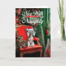 Search for chinese christmas cards Pets