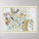 Search for constellations posters Vintage