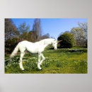 Search for beautiful unicorn art Animal