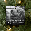 Search for photo pet memorials Rainbow bridge memorial