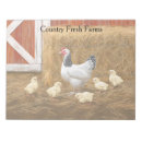 Search for chicken notepads Birds