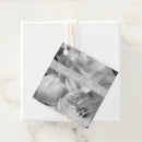 Search for calla photography Flowers