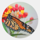 Search for note card stickers Thanks