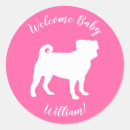 Search for pug puppy stickers Pink
