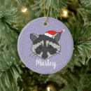 Search for racoons christmas tree decorations Cute animals