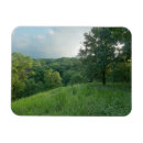 Search for bended magnets Forest