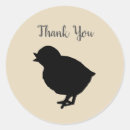 Search for peeping stickers Chicken