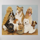 Search for english setter art Pet