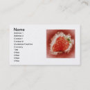 Search for congratulations business cards Shower