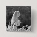 Search for infrared badges White