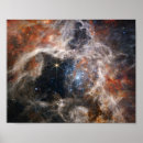 Search for tarantula posters Telescope