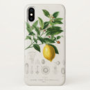 Search for lemon fruit iphone cases Fruits