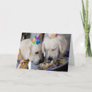 Search for golden retriever puppy birthday cards Cake