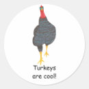 Search for turkeys stickers Cool
