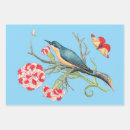 Search for illustration wrapping paper Bird
