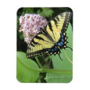 Search for home office magnets Yellow