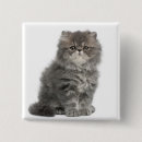 Search for sit badges Cat