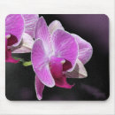 Search for pink orchid mousepads Phalaenopsis