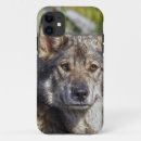 Search for alsatian iphone cases Pet