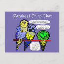 Search for vintage bird illustration postcards Parrot