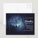 Search for wildlife photography cards Wolf