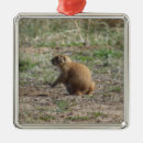 Search for prairie dog christmas tree decorations Wildlife