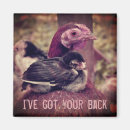 Search for chick square magnets Cute