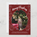 Search for meowy christmas cards Pet
