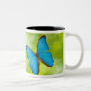 Search for butterflies mugs Cute