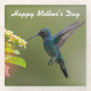 Search for hummingbird gifts Beautiful