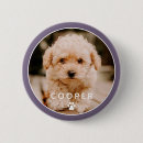 Search for paws badges Memorial