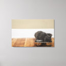 Search for eats the art Horizontal