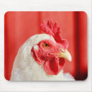 Search for barn electronics Rooster