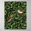 Search for olive tree posters Bird