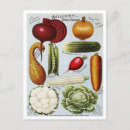 Search for seed postcards Catalogue