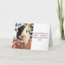 Search for i note cards Pets