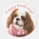 Search for cavalier king charles stickers Animal