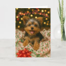Search for yorkie christmas cards Dog lover