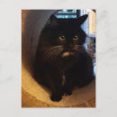 Search for tunnels postcards Black