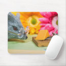 Search for funny mouse trap Cheese